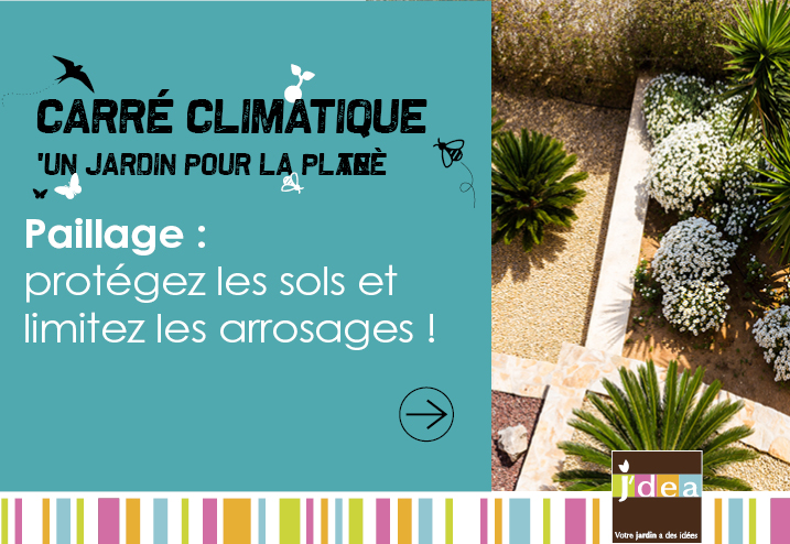 Carré Climatique - Paillage : protégez les sols et limitez les arrosages !